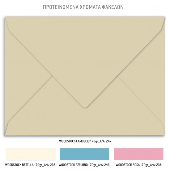 Προσκλητήριο Βάπτισης για Δίδυμα με Θέμα "Twin Bears"