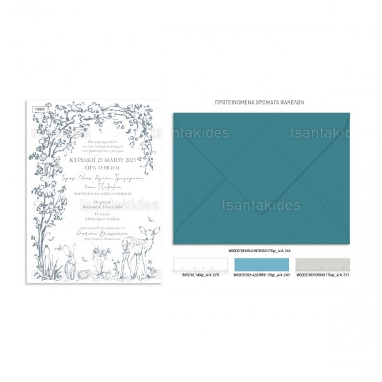 Προσκλητήριο Βάπτισης για Αγόρι με Θέμα " Ζωάκια του Δάσους "