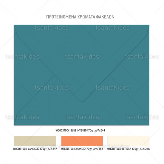 Προσκλητήριο Βάπτισης για Αγόρι με Θέμα " Flying Whale with Balloons."