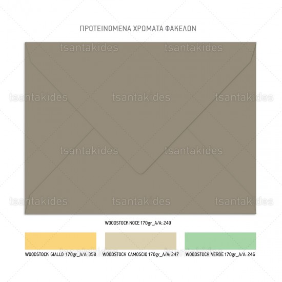 Προσκλητήριο Βάπτισης για Αγόρι με Θέμα " Lion "